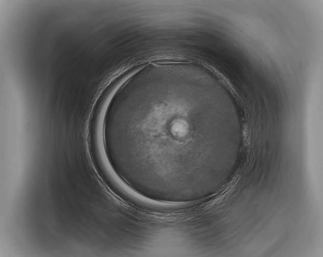 X0000116870725200912221405