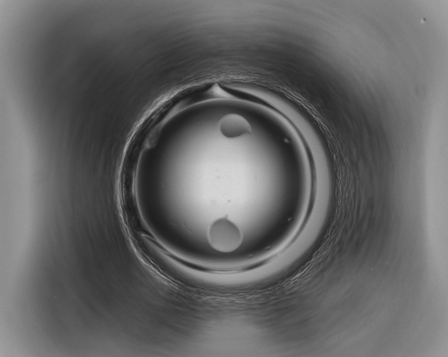 X0000116870726200912221405