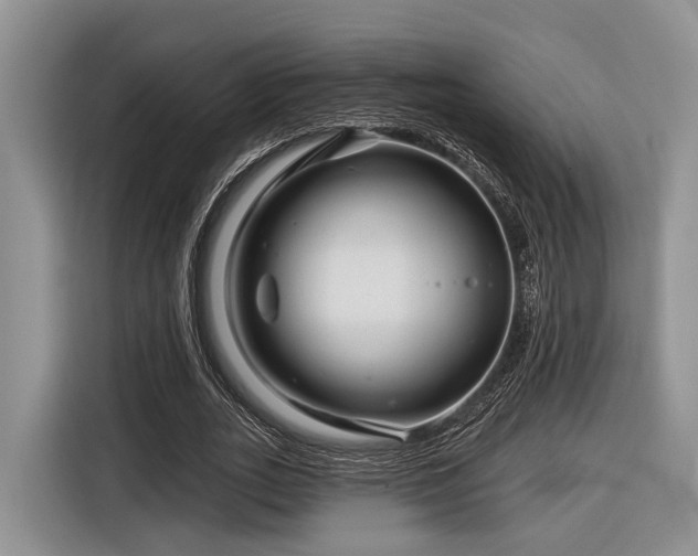 X0000116870727200912221405