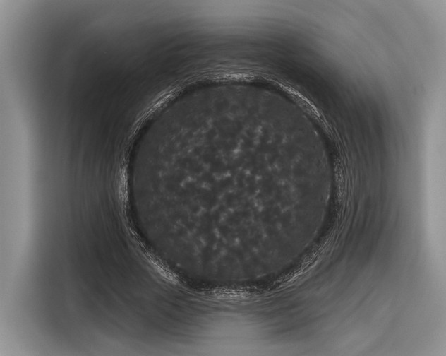 X0000116870729200912221405
