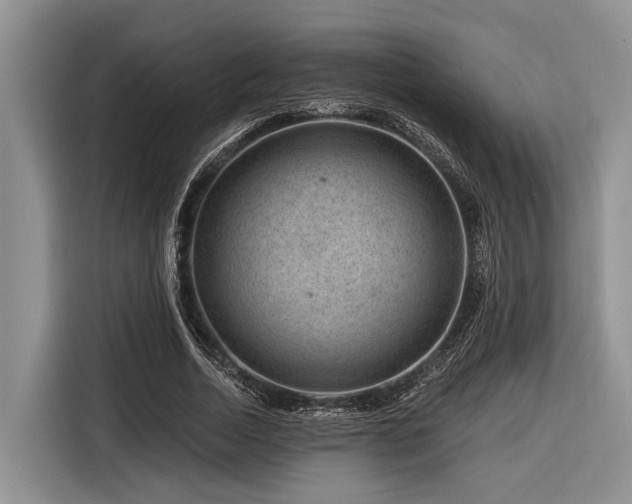 X0000116870730200912221405