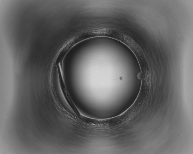 X0000116870731200912221405