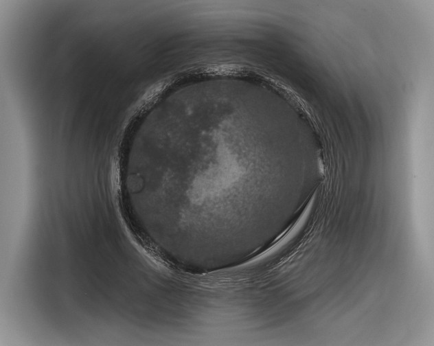 X0000116870734200912221405