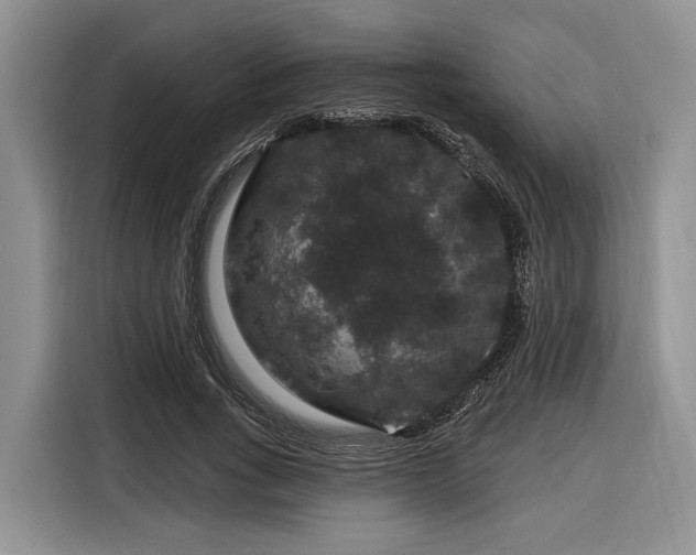 X0000116870735200912221405