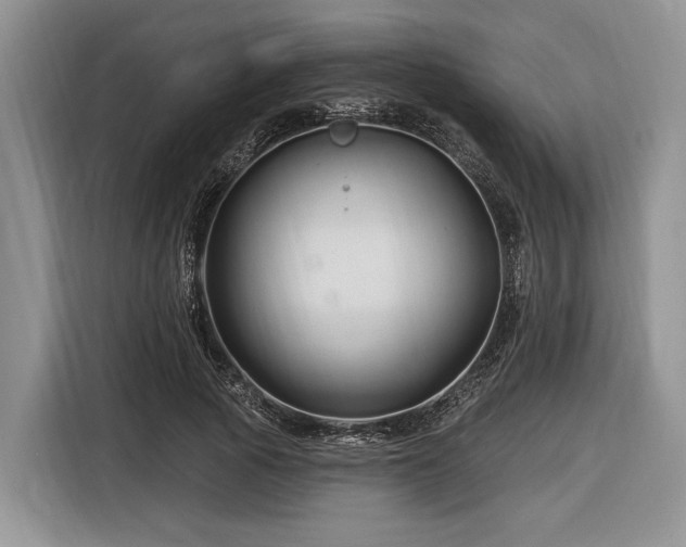 X0000116870737200912221405