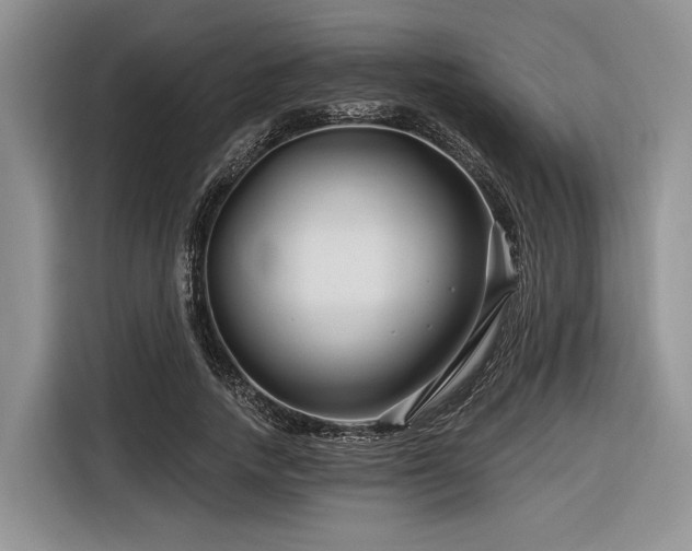 X0000116870738200912221405
