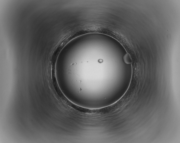 X0000116870739200912221405