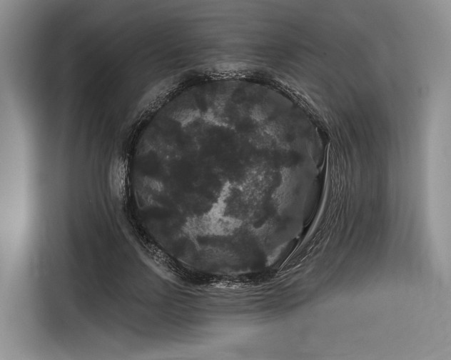 X0000116870742200912221405