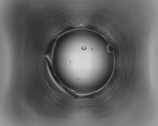 X0000116870743200912221405