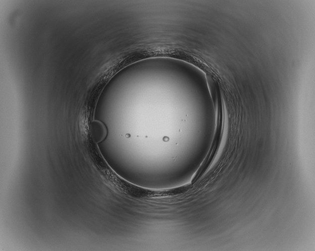 X0000116870746200912221405