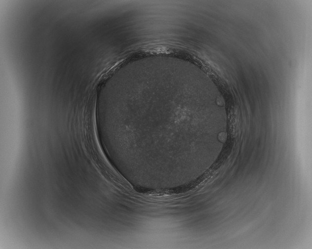 X0000116870747200912221405