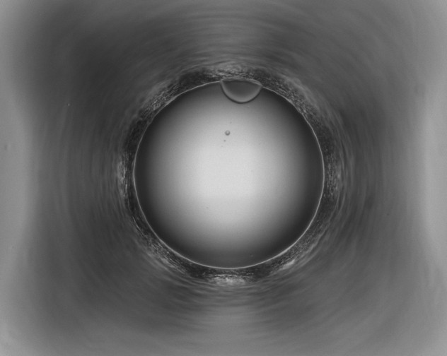 X0000116870749200912221405