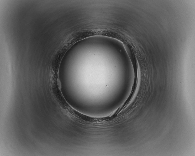 X0000116870750200912221405