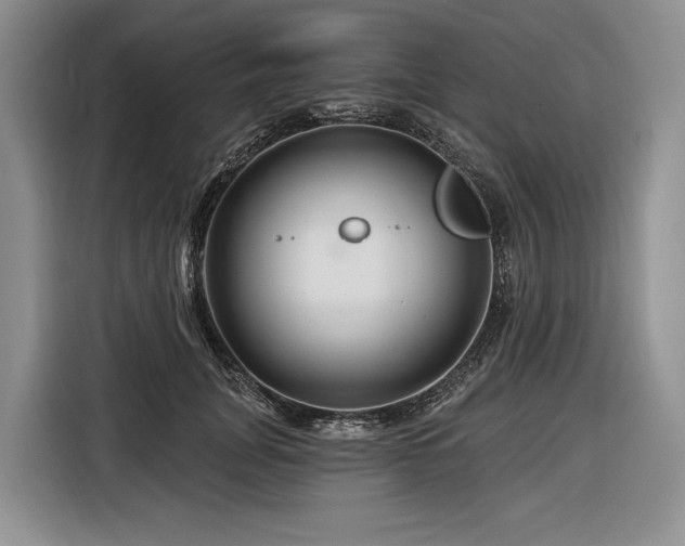 X0000116870751200912221405