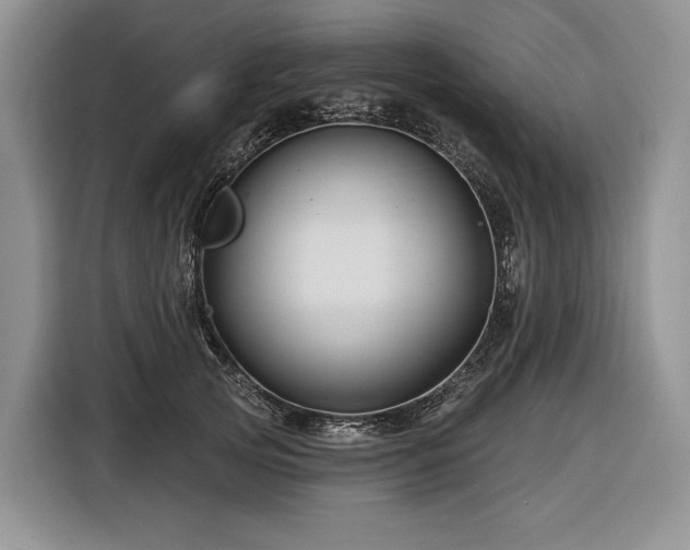 X0000116870753200912221405