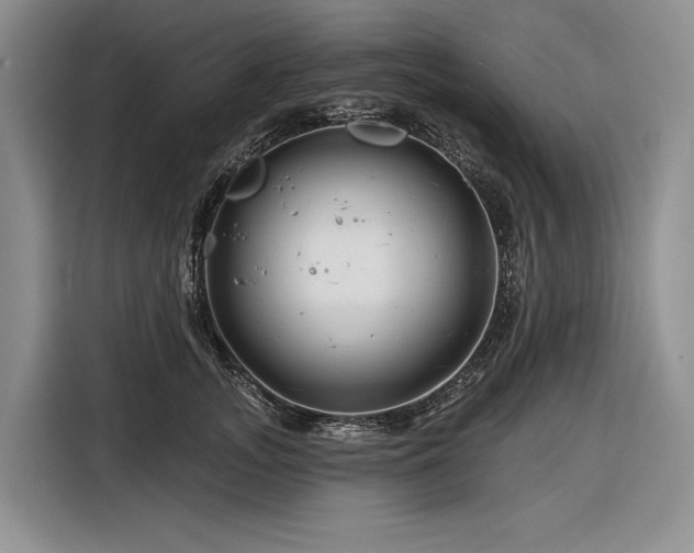 X0000116870755200912221405