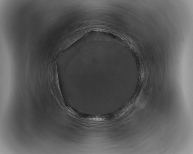 X0000116870759200912221405