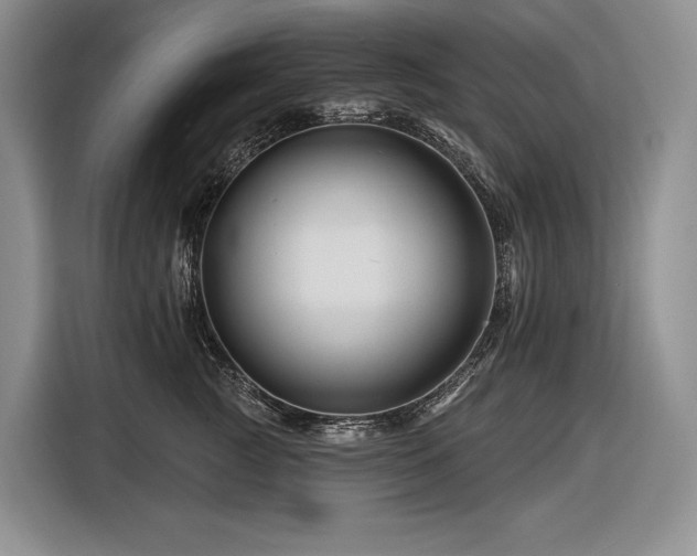 X0000116870761200912221405