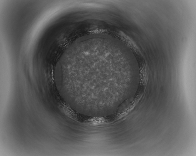 X0000116870762200912221405