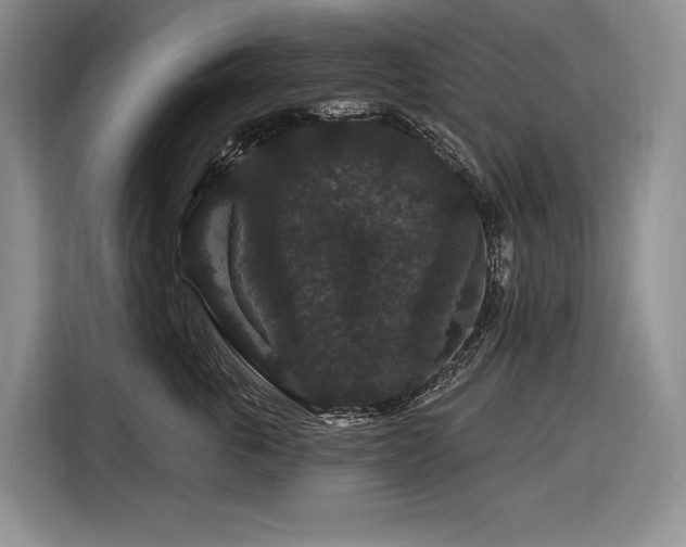 X0000116870763200912221405