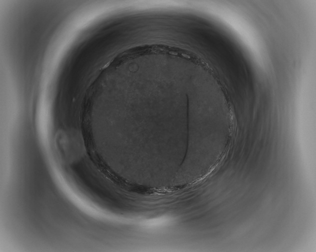 X0000116870765200912221405