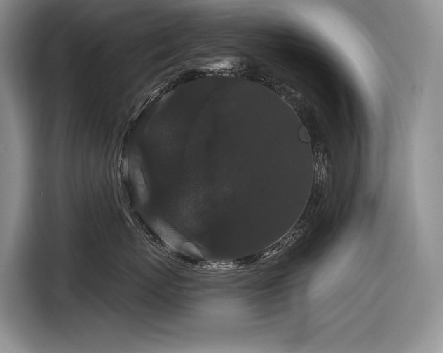 X0000116870767200912221405