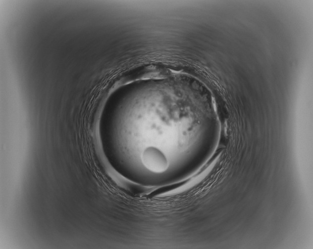 X0000116870769200912221405