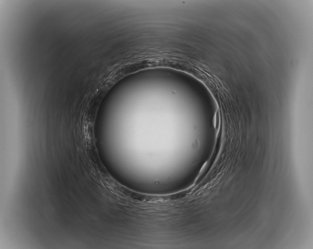 X0000116870770200912221405