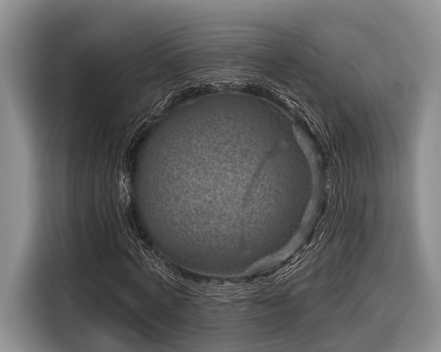 X0000116870772200912221405