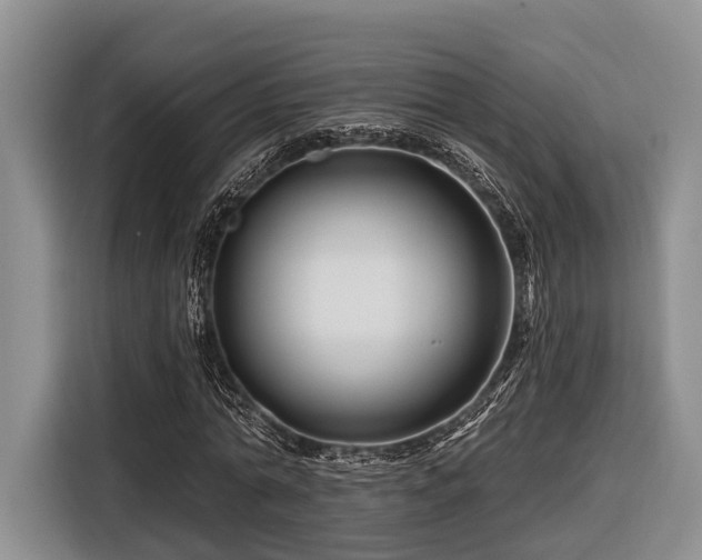 X0000116870774200912221405