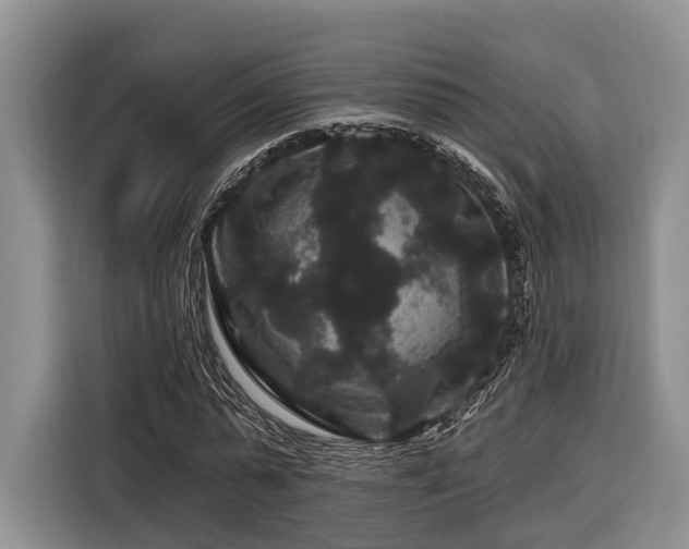 X0000116870775200912221405