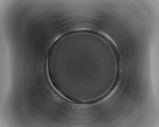 X0000116870777200912221405