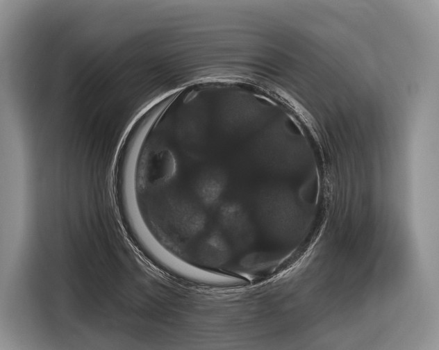 X0000116870779200912221405