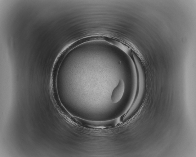 X0000116870780200912221405