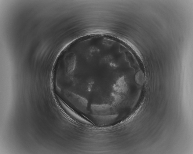 X0000116870783200912221405