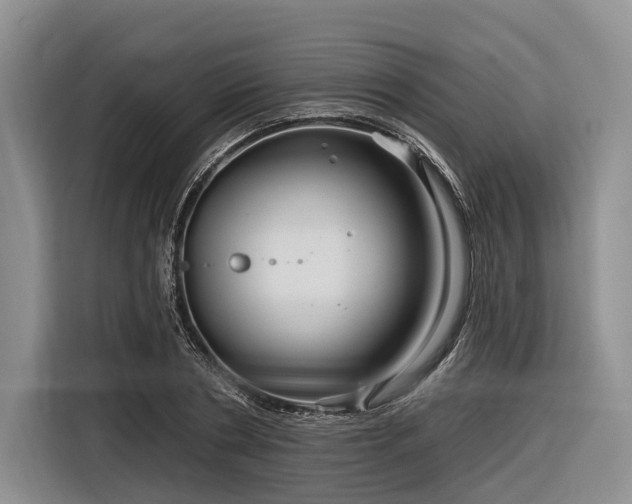 X0000116870786200912221405