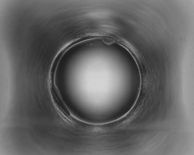 X0000116870787200912221405