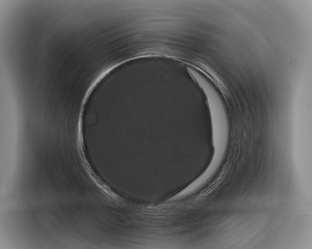 X0000116870788200912221405