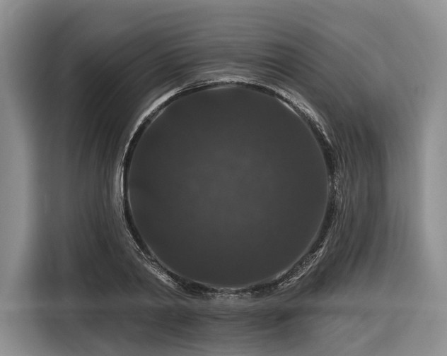 X0000116870790200912221405