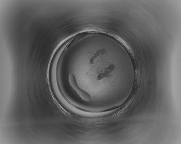 X0000116870791200912221405