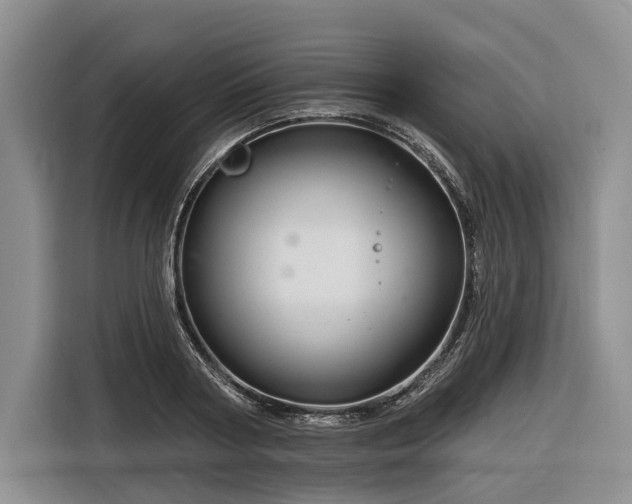 X0000116870794200912221405