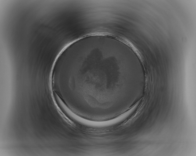X0000116870795200912221405