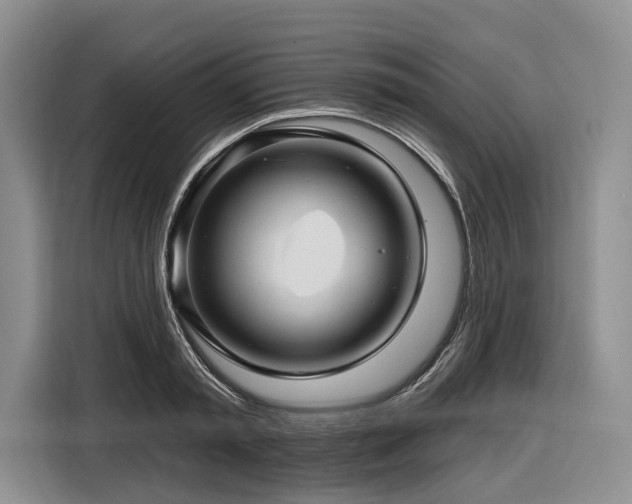 X0000116870797200912221404