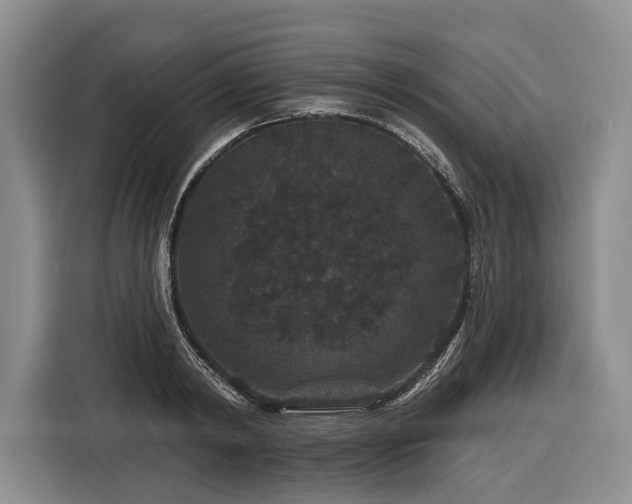 X0000116870798200912221404