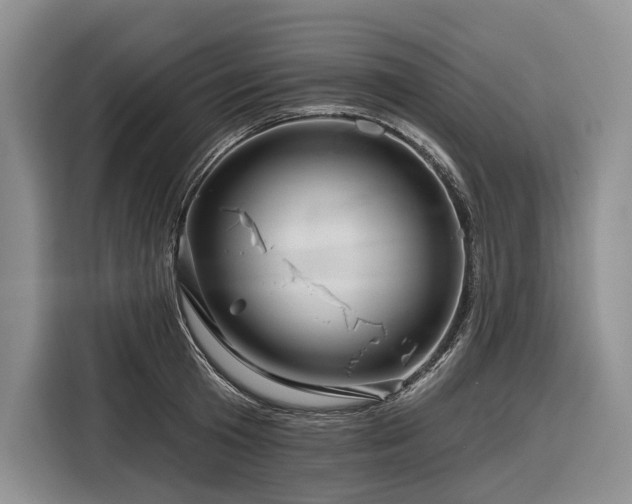 X0000116870801200912221404