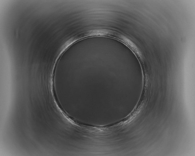 X0000116870802200912221404