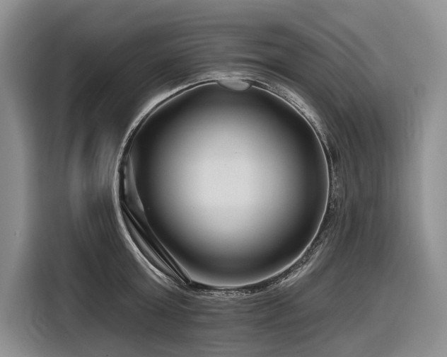 X0000116870803200912221404