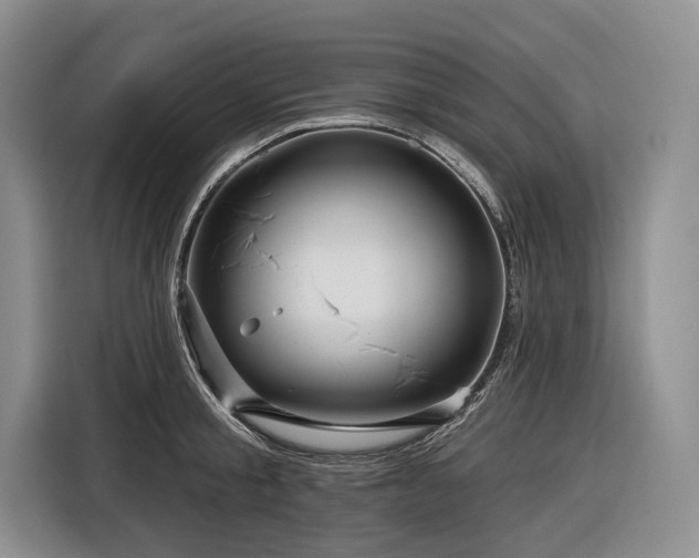 X0000116870805200912221404