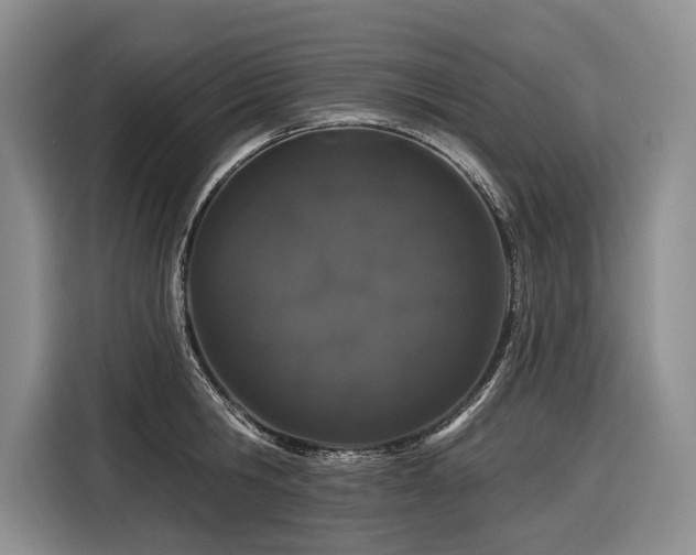 X0000116870806200912221404