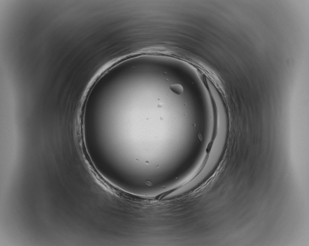 X0000116870808200912221404
